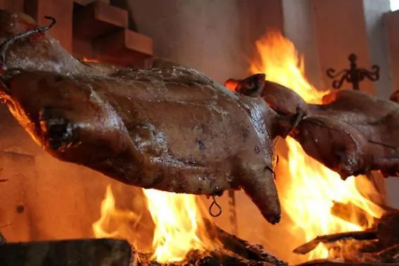 La Quercia Della Gallura Luogosanto Italie